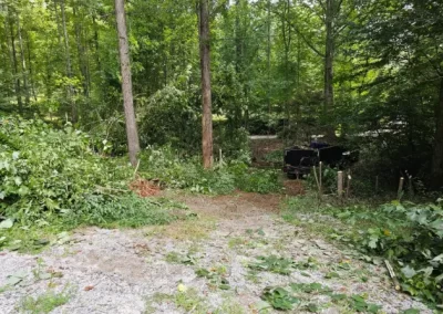 Dependable Tree Service