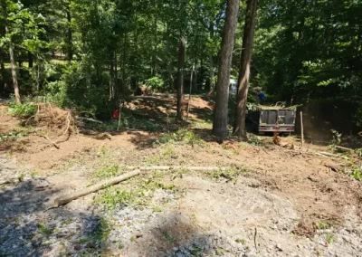 Professional Tree Service