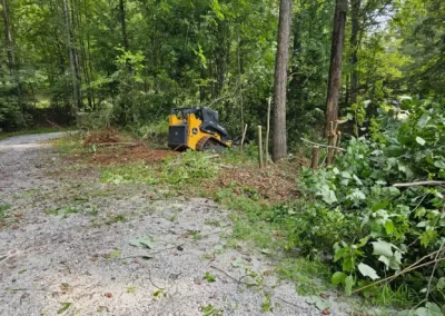 Reliable Tree Service