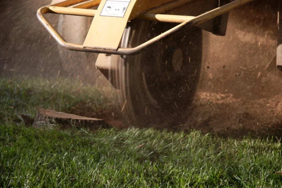 How To Remove A Tree Stump Anderson, SC