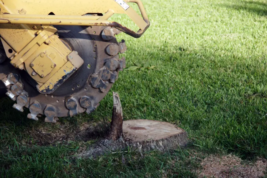 What Is Stump Grinding Anderson, SC