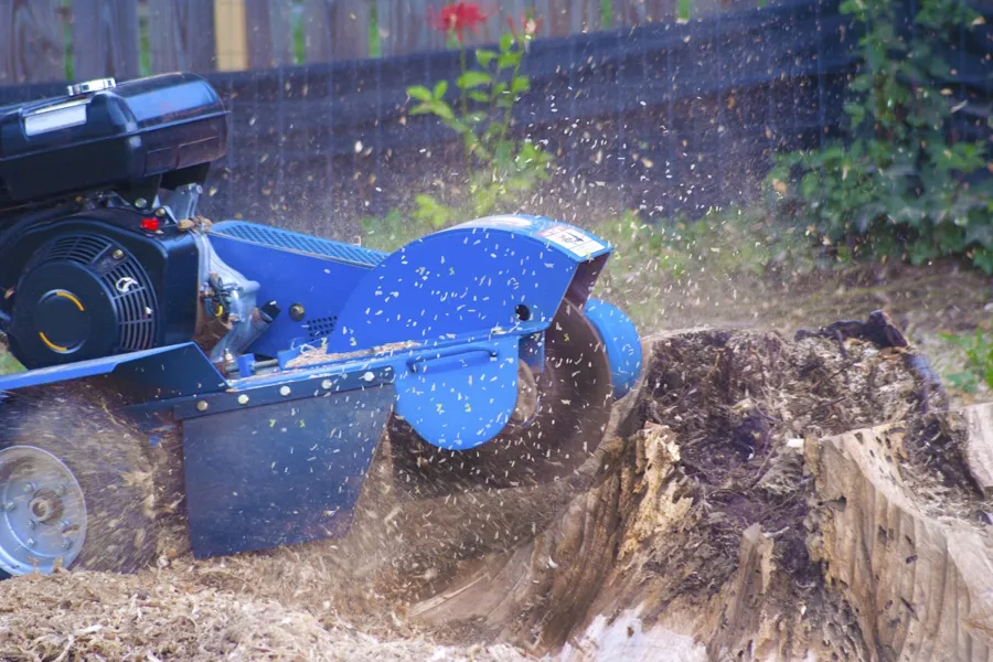 What Is Stump Grinding in Anderson, SC