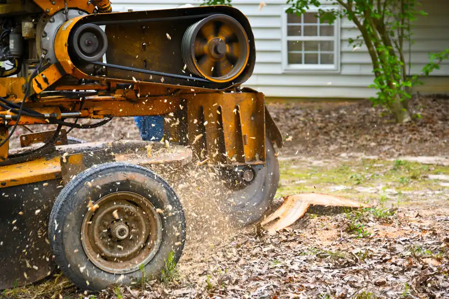 Preferred Tree Stump Grinding Anderson, SC