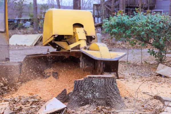 Tree Stump Grinding